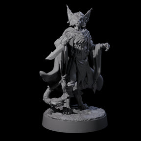 Robed Tabaxi Rogue A Miniature for Dungeons and Dragons, Pathfinder or other TTRPGs