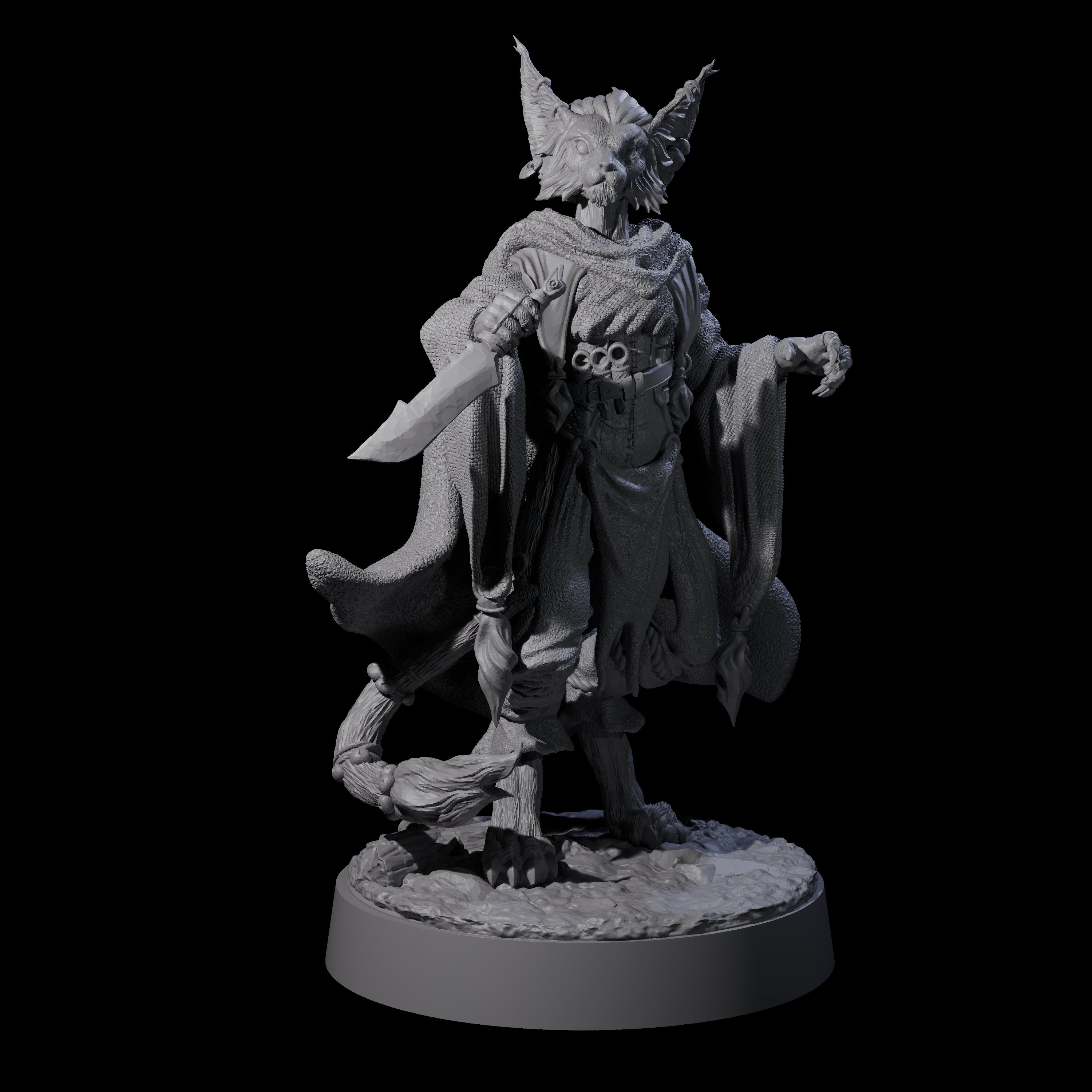 Robed Tabaxi Rogue A Miniature for Dungeons and Dragons, Pathfinder or other TTRPGs