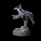 Robed Tabaxi Rogue C Miniature for Dungeons and Dragons, Pathfinder or other TTRPGs