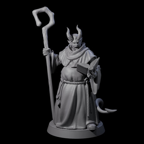 Robed Tiefling Monk A Miniature for Dungeons and Dragons, Pathfinder or other TTRPGs