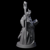 Robed Tiefling Monk A Miniature for Dungeons and Dragons, Pathfinder or other TTRPGs