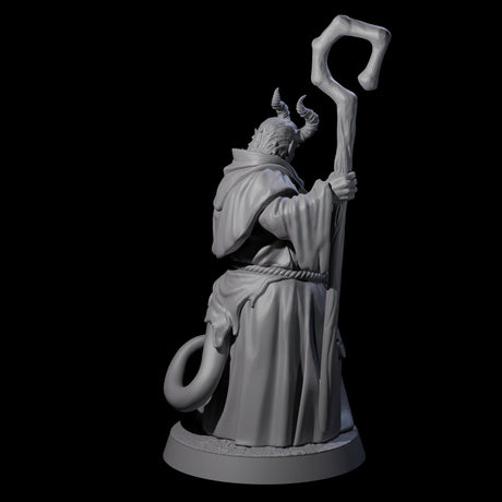 Robed Tiefling Monk A Miniature for Dungeons and Dragons, Pathfinder or other TTRPGs