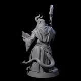 Robed Tiefling Monk A Miniature for Dungeons and Dragons, Pathfinder or other TTRPGs