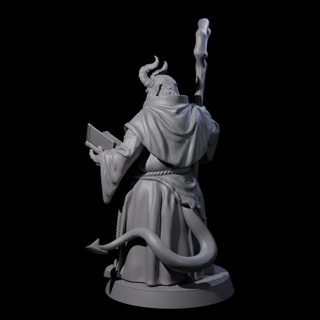 Robed Tiefling Monk A Miniature for Dungeons and Dragons, Pathfinder or other TTRPGs