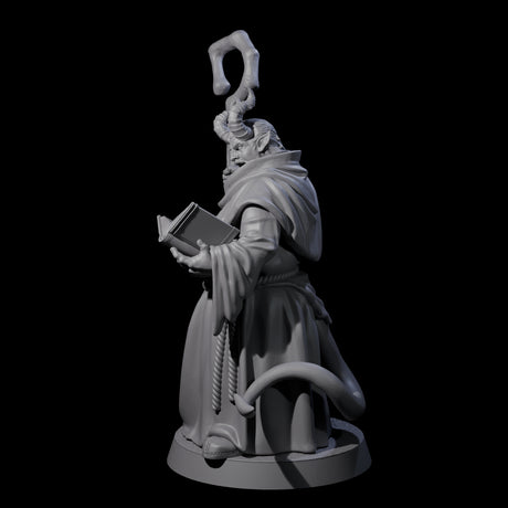 Robed Tiefling Monk A Miniature for Dungeons and Dragons, Pathfinder or other TTRPGs