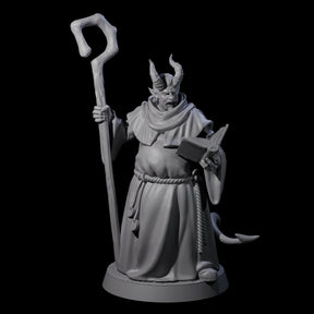 Robed Tiefling Monk A Miniature for Dungeons and Dragons, Pathfinder or other TTRPGs