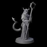 Robed Tiefling Monk B Miniature for Dungeons and Dragons, Pathfinder or other TTRPGs