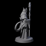 Robed Tiefling Monk B Miniature for Dungeons and Dragons, Pathfinder or other TTRPGs