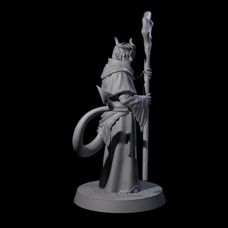 Robed Tiefling Monk B Miniature for Dungeons and Dragons, Pathfinder or other TTRPGs