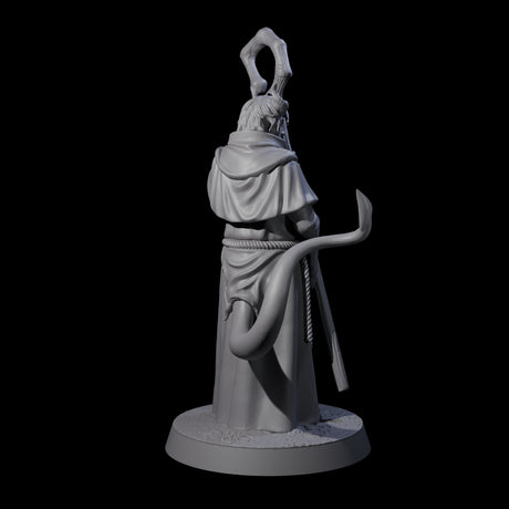 Robed Tiefling Monk B Miniature for Dungeons and Dragons, Pathfinder or other TTRPGs