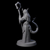 Robed Tiefling Monk B Miniature for Dungeons and Dragons, Pathfinder or other TTRPGs