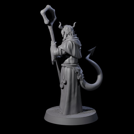 Robed Tiefling Monk B Miniature for Dungeons and Dragons, Pathfinder or other TTRPGs