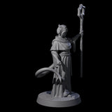 Robed Tiefling Monk C Miniature for Dungeons and Dragons, Pathfinder or other TTRPGs