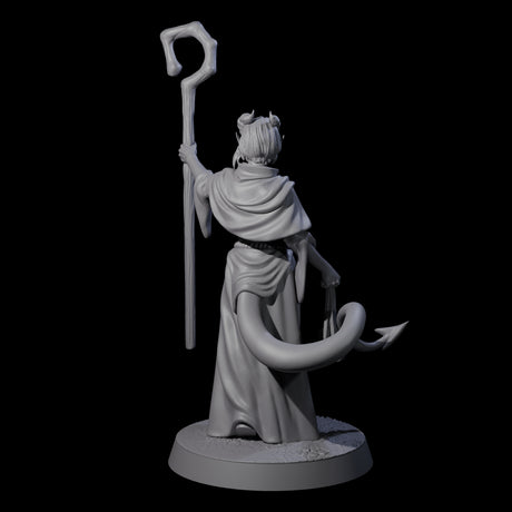 Robed Tiefling Monk C Miniature for Dungeons and Dragons, Pathfinder or other TTRPGs
