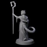 Robed Tiefling Monk C Miniature for Dungeons and Dragons, Pathfinder or other TTRPGs