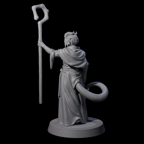 Robed Tiefling Monk C Miniature for Dungeons and Dragons, Pathfinder or other TTRPGs