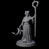 Robed Tiefling Monk C Miniature for Dungeons and Dragons, Pathfinder or other TTRPGs