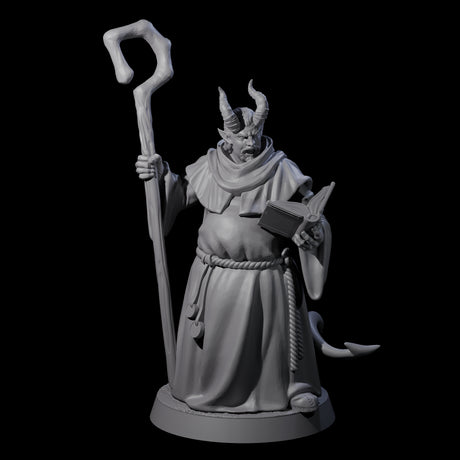 Robed Tiefling Monks Miniature for Dungeons and Dragons, Pathfinder or other TTRPGs