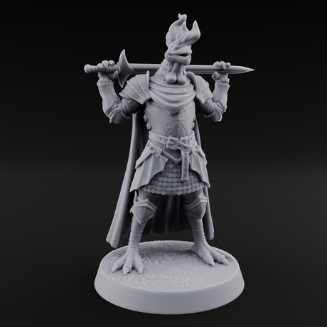 Rocking Kenku Paladin Miniature for Dungeons and Dragons, Pathfinder or other TTRPGs