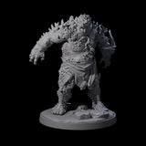 Rocky Ogre A Miniature for Dungeons and Dragons, Pathfinder or other TTRPGs