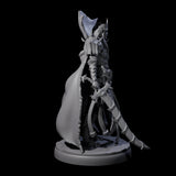Royal Dark Elf Knight A Miniature for Dungeons and Dragons, Pathfinder or other TTRPGs