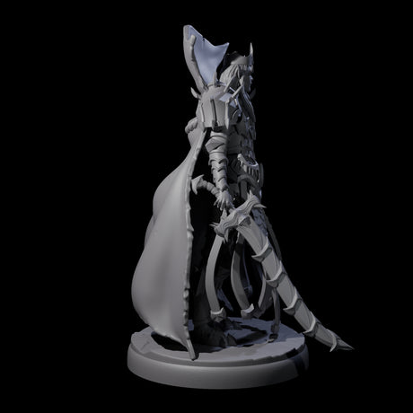 Royal Dark Elf Knight A Miniature for Dungeons and Dragons, Pathfinder or other TTRPGs