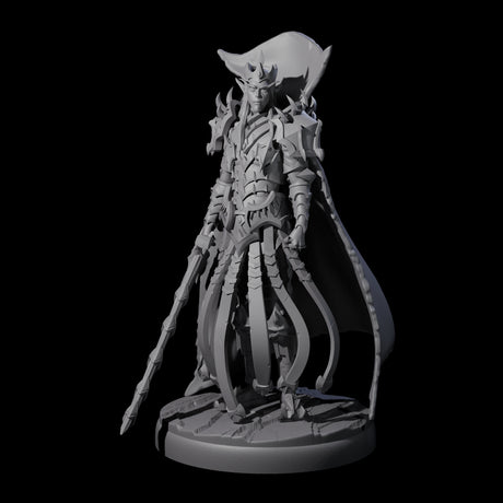 Royal Dark Elf Knight A Miniature for Dungeons and Dragons, Pathfinder or other TTRPGs