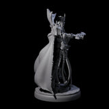 Royal Dark Elf Knight E Miniature for Dungeons and Dragons, Pathfinder or other TTRPGs