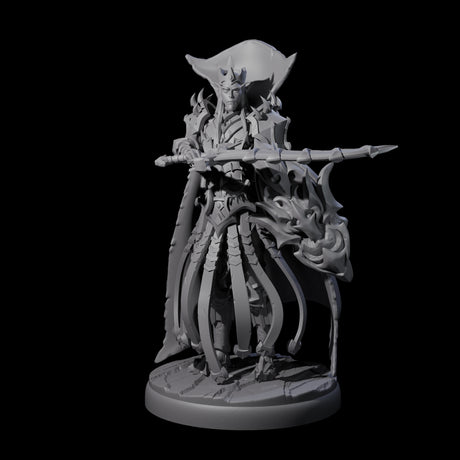 Royal Dark Elf Knight E Miniature for Dungeons and Dragons, Pathfinder or other TTRPGs