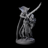 Royal Dark Elf Knight G Miniature for Dungeons and Dragons, Pathfinder or other TTRPGs