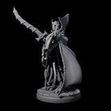 Royal Dark Elf Knight G Miniature for Dungeons and Dragons, Pathfinder or other TTRPGs