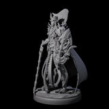 Royal Dark Elf Knight I Miniature for Dungeons and Dragons, Pathfinder or other TTRPGs