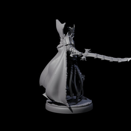 Royal Dark Elf Knight J Miniature for Dungeons and Dragons, Pathfinder or other TTRPGs