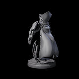 Royal Dark Elf Knight J Miniature for Dungeons and Dragons, Pathfinder or other TTRPGs