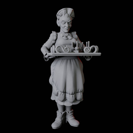 Royal Maid Miniature for Dungeons and Dragons, Pathfinder or other TTRPGs