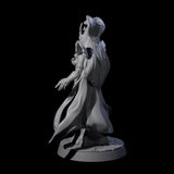 Royal Serpant Priest Miniature for Dungeons and Dragons, Pathfinder or other TTRPGs