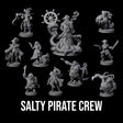 Salty Pirate Crew Miniature for Dungeons and Dragons, Pathfinder or other TTRPGs