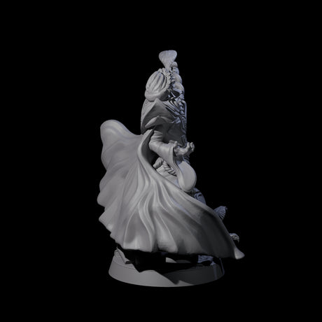 Sand Staff Court Magician Miniature for Dungeons and Dragons, Pathfinder or other TTRPGs