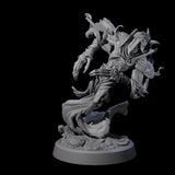 Sandy Wraith Lord A Miniature for Dungeons and Dragons, Pathfinder or other TTRPGs