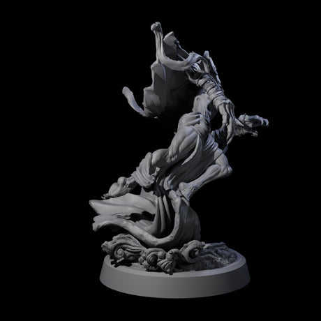 Sandy Wraith Lord A Miniature for Dungeons and Dragons, Pathfinder or other TTRPGs