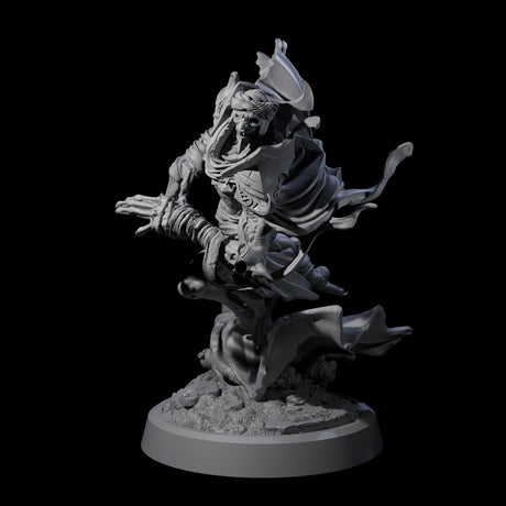 Sandy Wraith Lord A Miniature for Dungeons and Dragons, Pathfinder or other TTRPGs