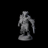 Scaled Dragonborn Swordsman Miniature for Dungeons and Dragons, Pathfinder or other TTRPGs