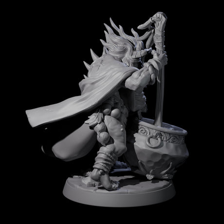 Scheming Forest Hags Miniature for Dungeons and Dragons, Pathfinder or other TTRPGs