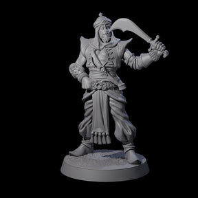 Scimitar Wielding Palace Guard A Miniature for Dungeons and Dragons, Pathfinder or other TTRPGs