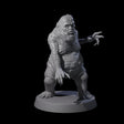 Screaming Mane B Miniature for Dungeons and Dragons, Pathfinder or other TTRPGs