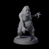 Screaming Mane B Miniature for Dungeons and Dragons, Pathfinder or other TTRPGs