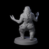 Screaming Mane D Miniature for Dungeons and Dragons, Pathfinder or other TTRPGs