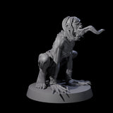 Screeching Ghoul C Miniature for Dungeons and Dragons, Pathfinder or other TTRPGs