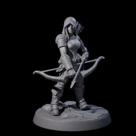 Shadowy Assassin Sister A Miniature for Dungeons and Dragons, Pathfinder or other TTRPGs