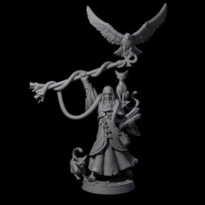 Shadowy Magi Advisor Miniature for Dungeons and Dragons, Pathfinder or other TTRPGs